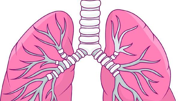 大蒜的成效与效果 这5种食物不能一同食用